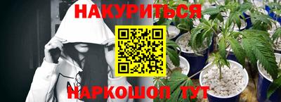 apvp Свободный