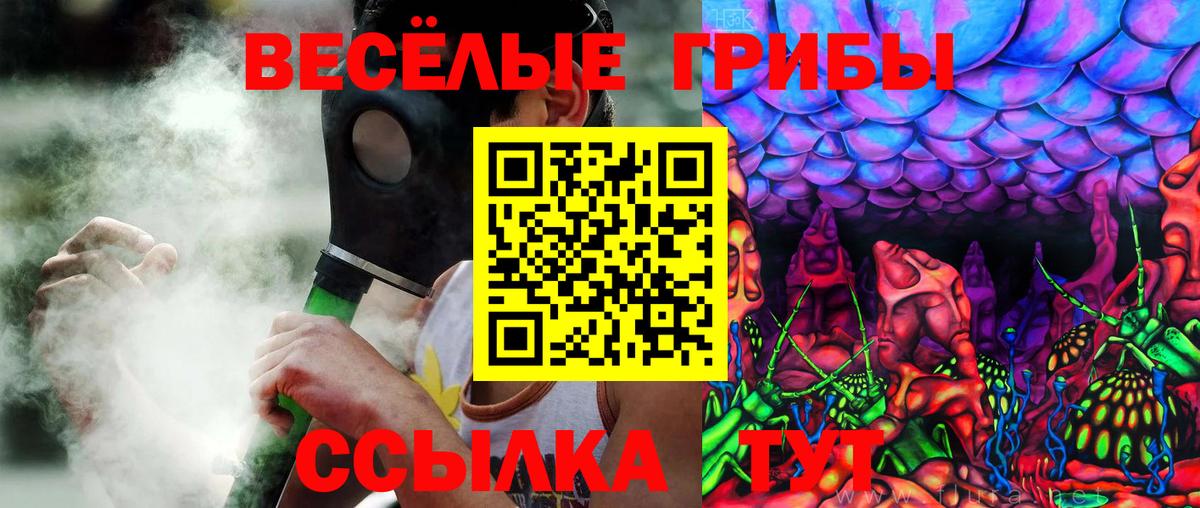 Псилоцибиновые грибы MAGIC MUSHROOMS  Галлюциногенные грибы ЛСД  Вход с VPN  Сальск 